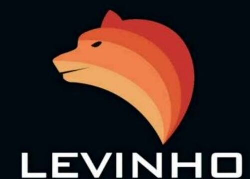 Levinho Logo