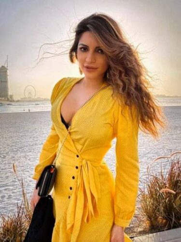 Shama Sikander Net Worth, Age, Family, Husband, Biography and More