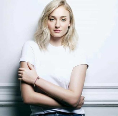 Sophie Turner Net Worth, Age, Family, Husband, Biography, and More