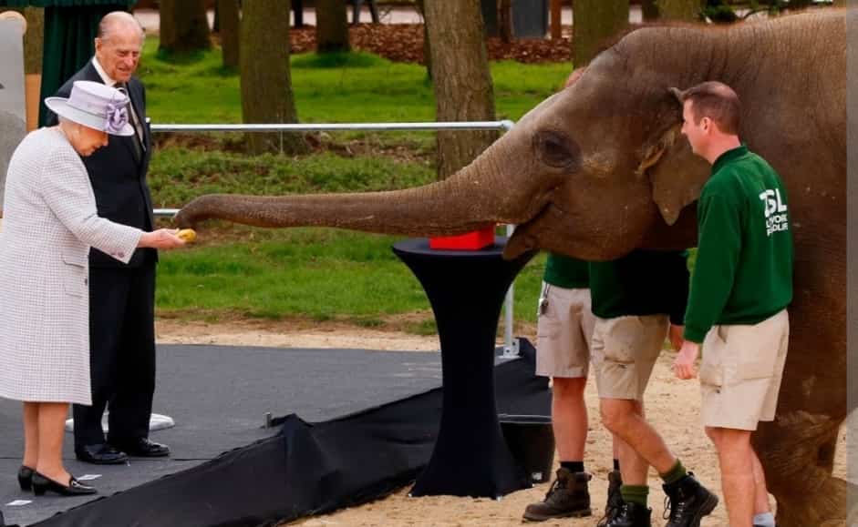 Queen donates animals to the London Zoo