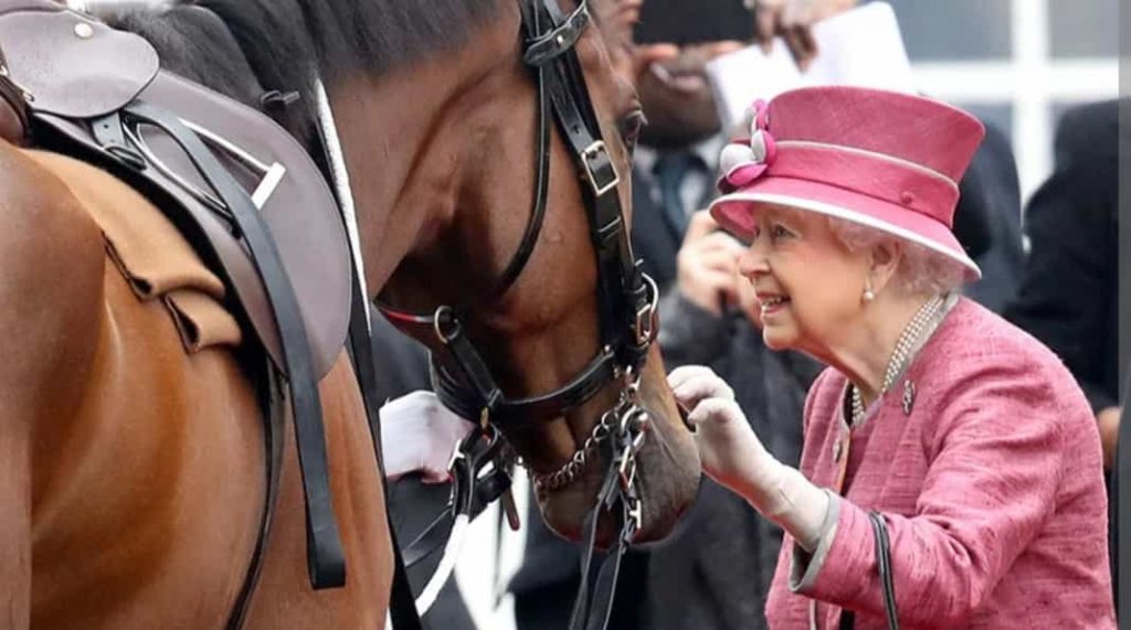 Queen's love towards horses