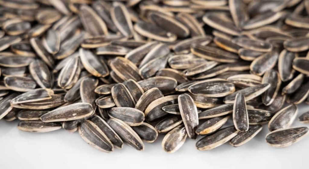 Sunflower Seeds