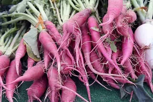 Purple Carrot 