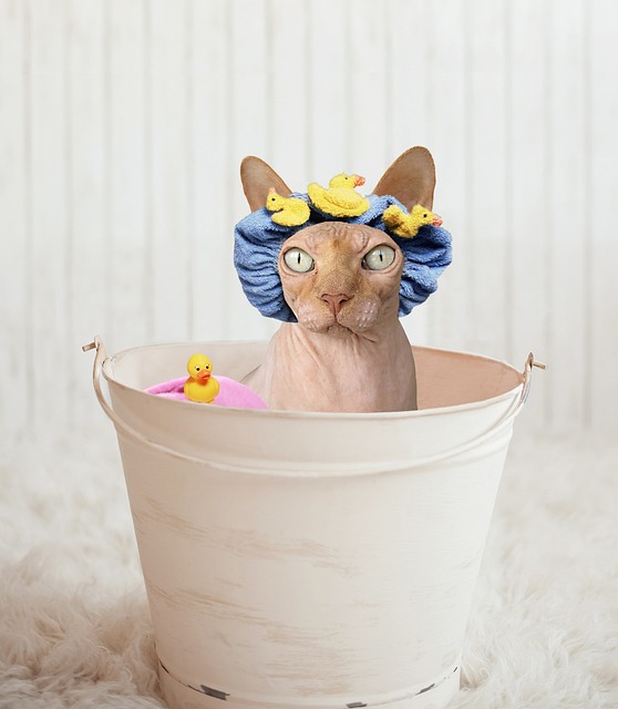 Best Cat Shampoos