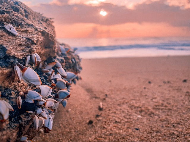 Sri Lanka Beach